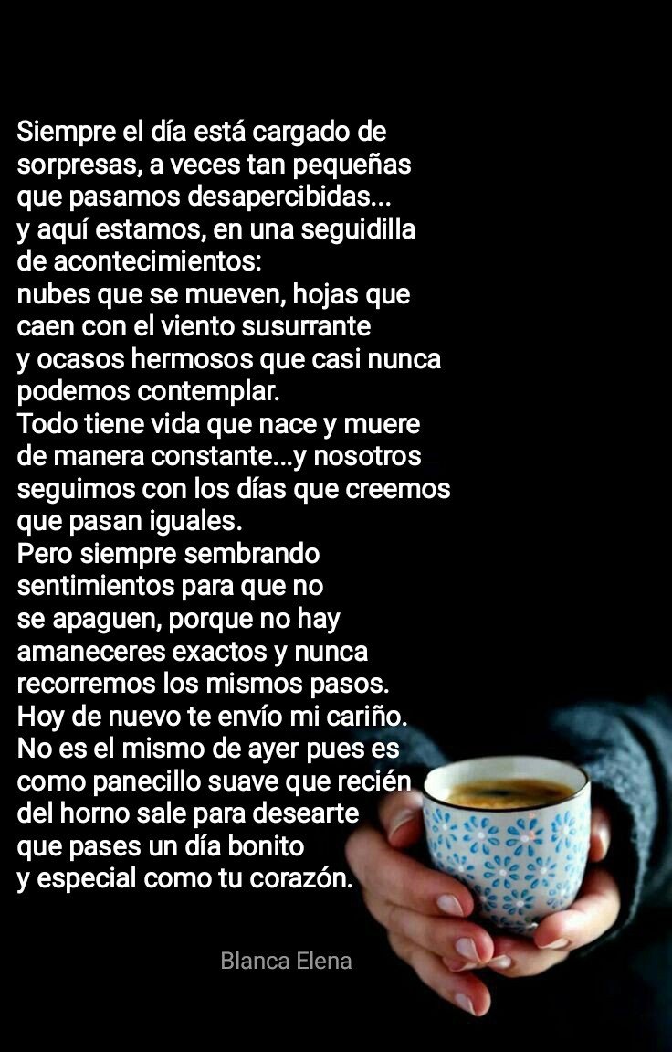 Blanca Elena🌹 (@blancarojaz) on Twitter photo 