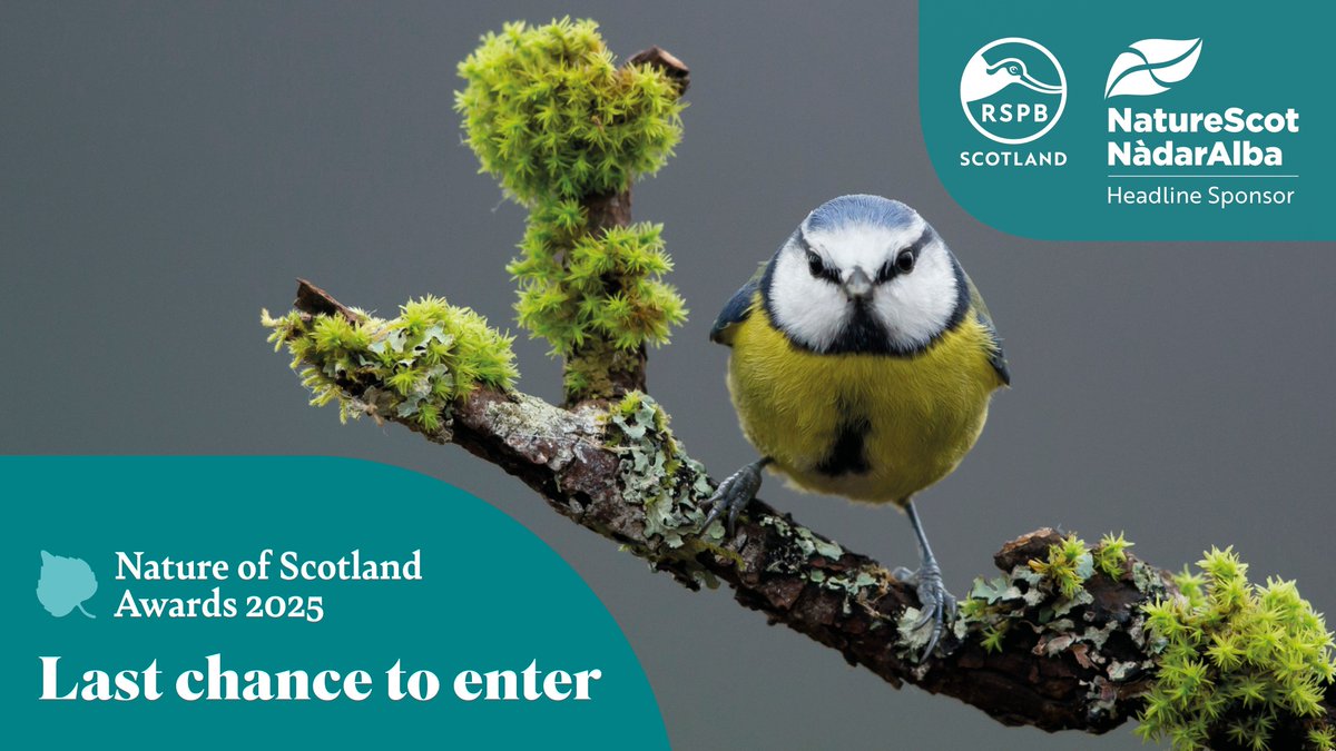 NatureofScot's tweet image. Thank you to everyone who's been sending in their brilliant applications for this year's #NatureOfScotland Awards! Remember, all entries must be in by 11.59pm on Tuesday, 3 June, so you've still got a few more days. Apply here: buff.ly/QMuL1L5
@RSPBScotland @NatureScot