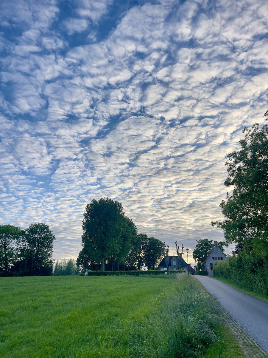 Mooigrunnen's tweet photo. Gisteravond de lucht boven Groot Wetsinge.
.
#mooigrunnen #mooigrunneninbeeld #avondlucht #grootwetsinge https://t.co/DbyiV3OjV8