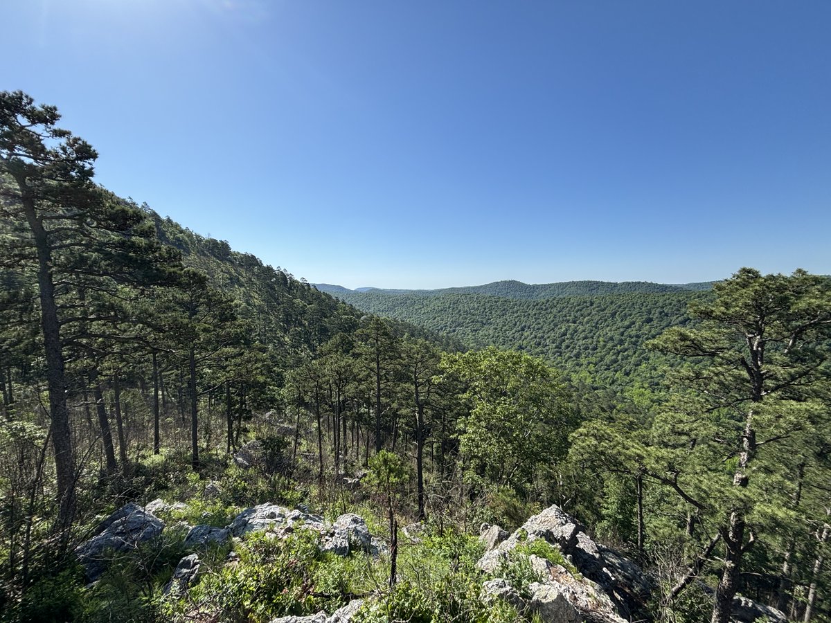 Cory Barnes tweet media