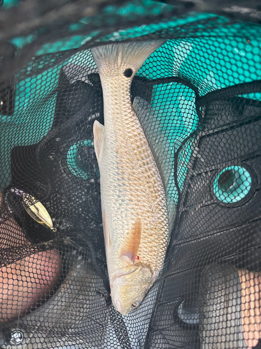 Cory Barnes tweet media