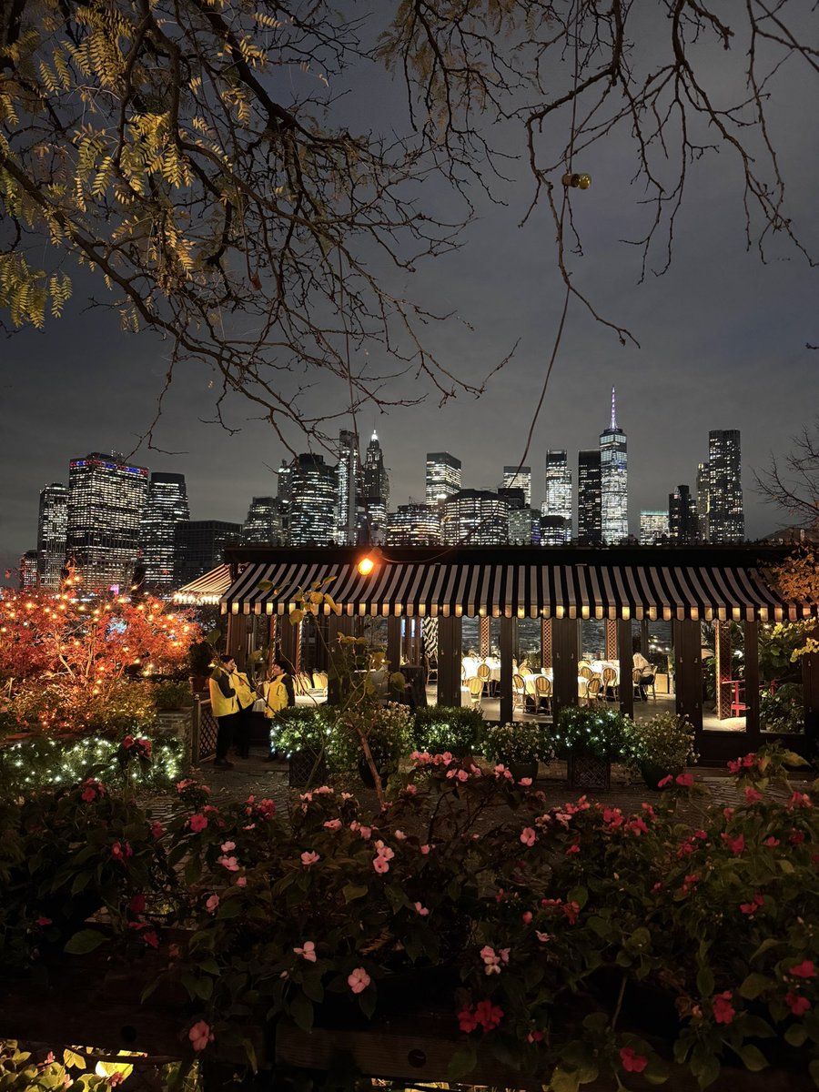 RJY91's tweet image. The concrete jungle.