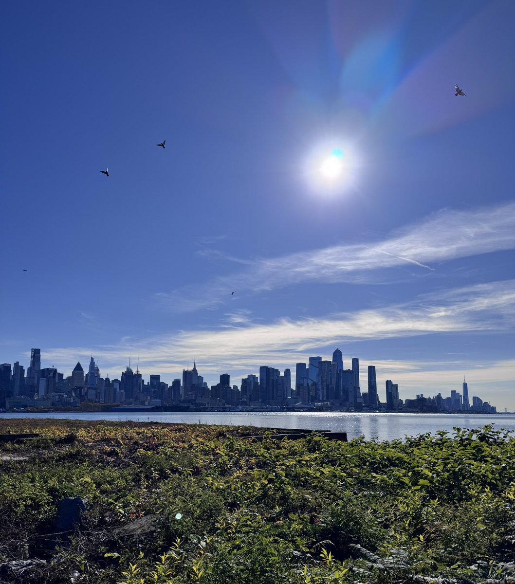 RJY91's tweet image. The concrete jungle.