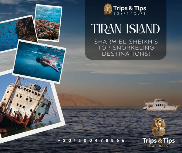 TRIPS_TIPS11's tweet photo. π Snorkel Tiran Island β Red Sea magic awaits! π π΄
Explore vibrant reefs with a guided tour from Sharm El Sheikh.
β
All levels welcome
β
Hotel pickup included
π² Book now: 01500478866
π https://t.co/DtRhqIeUsT
#TiranIsland #SnorkelingTrip #SharmElSheikh #RedSeaAdventure https://t.co/nSyl7ZLioc