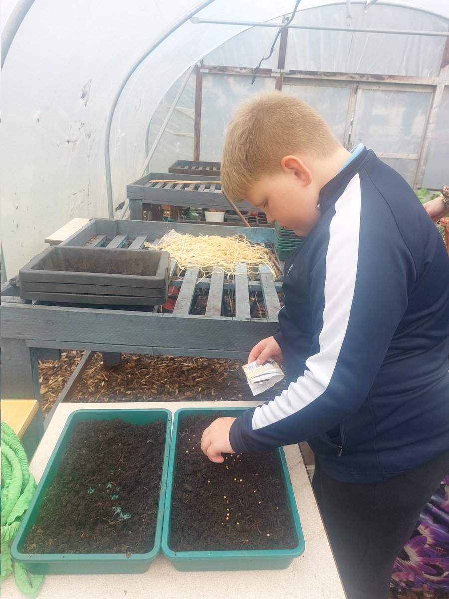 Another enjoyable We Aspire Outdoor session today. Pupils enjoyed making a campfire, eating tasty snacks and planting onion and coriander seeds in the greenhouse 🪴 🔥 😀.