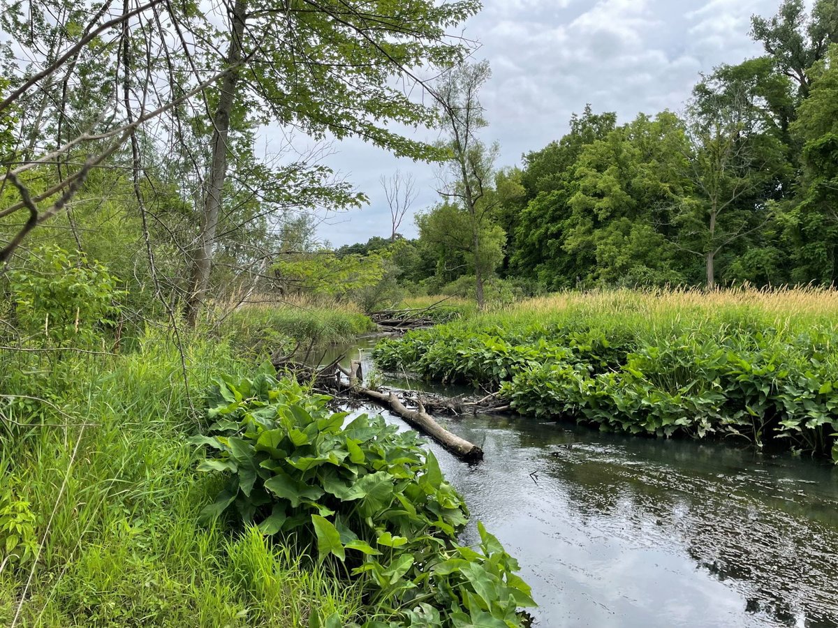 MichiganEGLE's tweet image. The current is picking up in Benton Harbor. 🌊
Demolition at contaminated site is a major milestone in the community-driven Ox Creek revitalization.

EGLE, SLBA, and partners are working to clean up, restore habitat, and build opportunity. tinyurl.com/yjctbrz2 #MIEnvironment