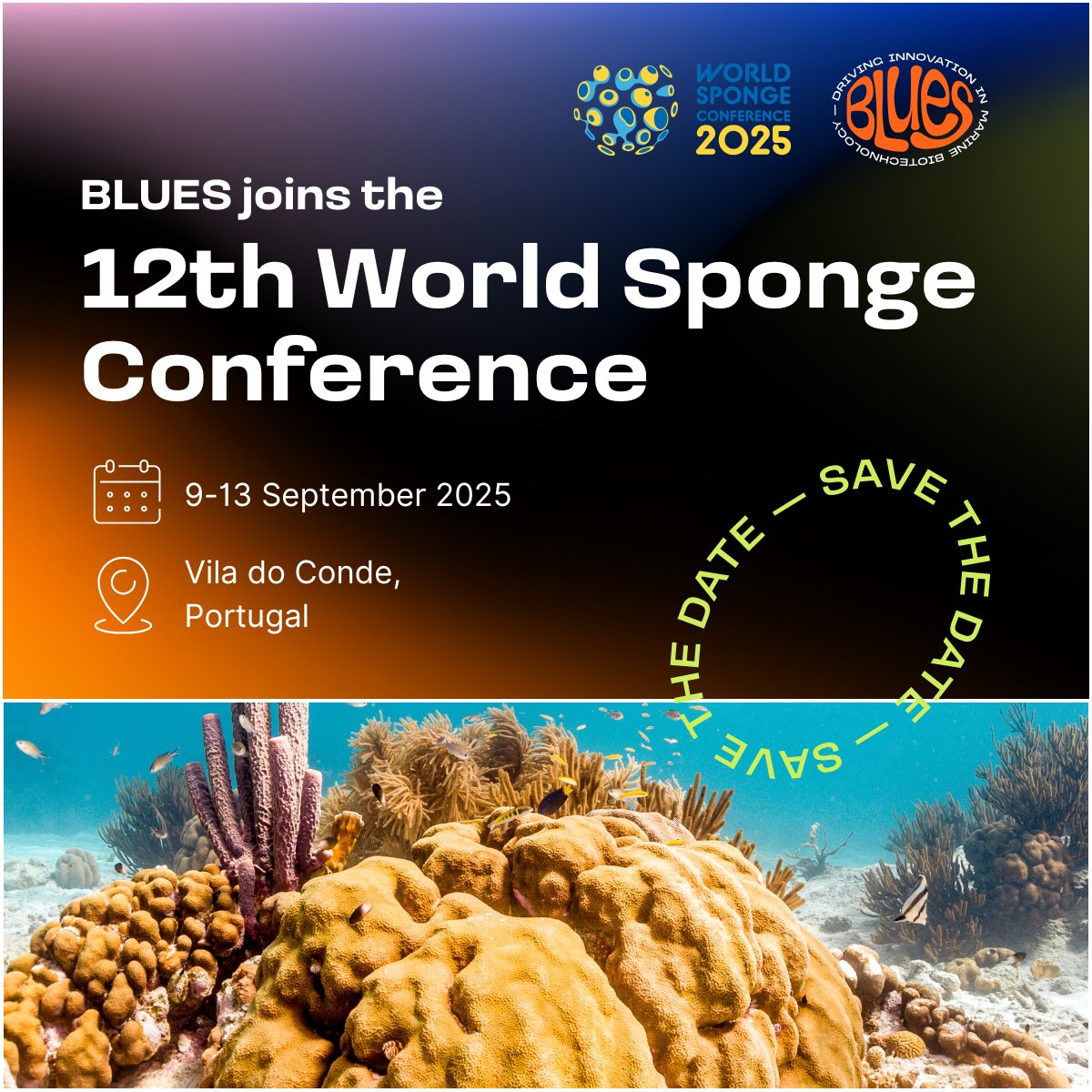 We're happy to announce that we will take part in the World Sponge Conference #WSC2025 in Portugal, in Sept! 🇵🇹

We'll conduct several oral and poster presentations at this amazing event reuniting experts from natural sciences working to protect this remarkable species!