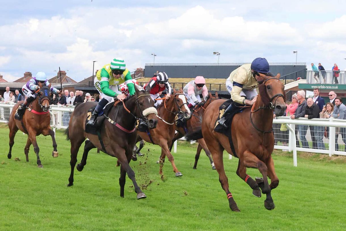 Hambleton Racing (@hambletonracing) on Twitter photo Course and distance winner BELSITO returns to <a href="/CarlisleRaces/">Carlisle Racecourse</a> this evening and we wish him and his connections the best of luck! 🤞 🍀 Course and distance winner BELSITO returns to <a href="/CarlisleRaces/">Carlisle Racecourse</a> this evening and we wish him and his connections the best of luck! 🤞 🍀