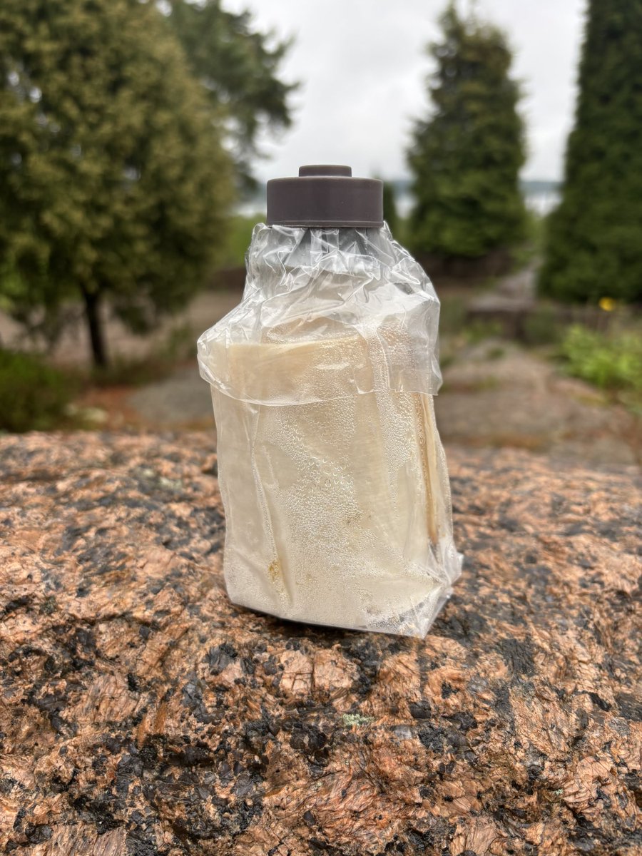 Nyt niitä saa!!!
Maailman ensimmäiset tryffeliympit ovat valmiina toimitukseen. Näin ensimmäisenä kesänä ymppejä on tarjolla rajattu määrä. Toimithan siis nopsasti, jotta saat oman tryffeliviljelmäsi ensimmäisten joukossa😊
#tryffeli #tryffelinviljely