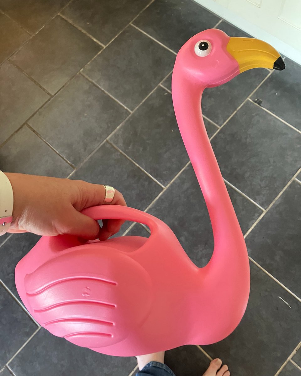 Liz Hyder (@londonbessie) on Twitter photo My joyful watering can for indoors! Big thanks for my pal <a href="/TallulahTangle/">TallulahTangle, Cat lady</a> for sending this in the post! x My joyful watering can for indoors! Big thanks for my pal <a href="/TallulahTangle/">TallulahTangle, Cat lady</a> for sending this in the post! x