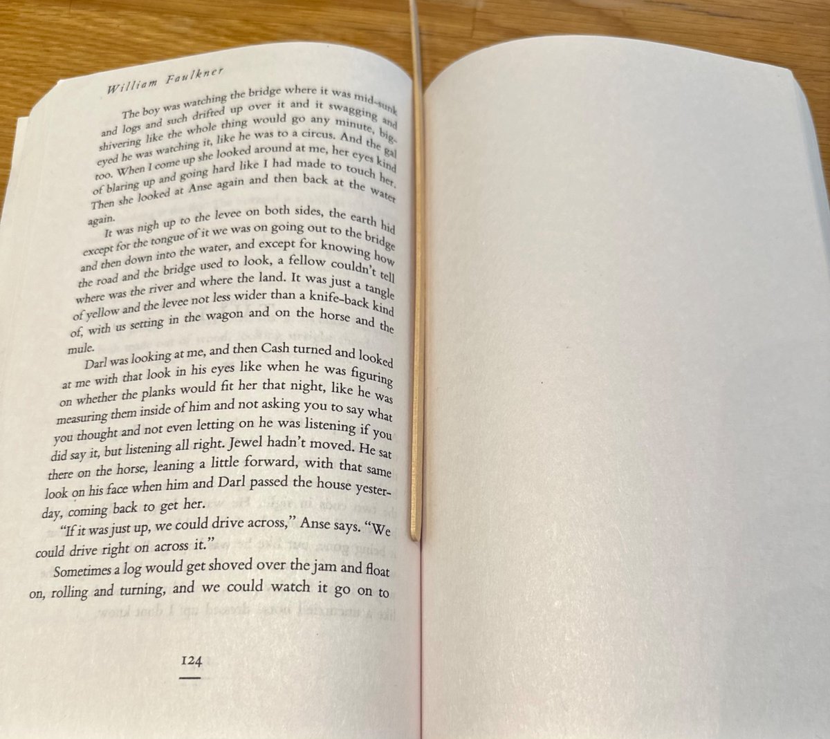 Never really encountered a printing error like this in a book, just 16 blank pages where pages 125-140 should be.