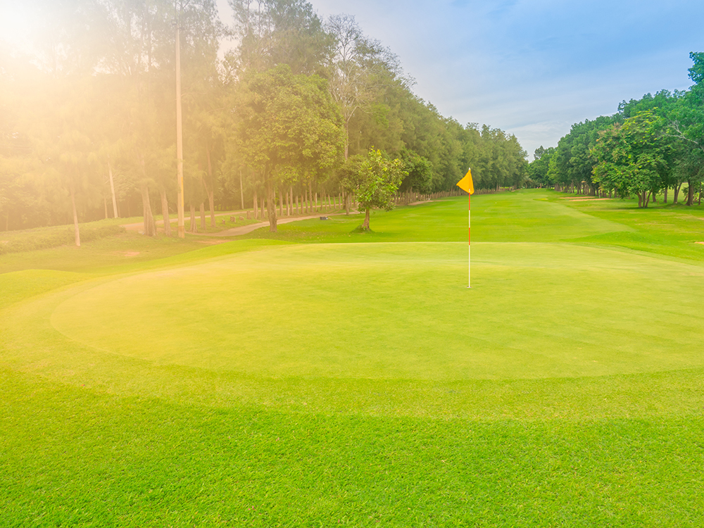 Pitchcare (@pitchcare) on Twitter photo #IndustryNews: <a href="/AgrovistaAMNTY/">Agrovista Amenity</a> Specialist Ray Hunt gives a few tips on the use of wetting agents.
Find out more here 👇
pitchcare.com/blogs/news/wet…
#Agrovista #turfcare #pitchcare #groundskeeping #greenkeeping #wettingagents #IndustryNews: <a href="/AgrovistaAMNTY/">Agrovista Amenity</a> Specialist Ray Hunt gives a few tips on the use of wetting agents.
Find out more here 👇
pitchcare.com/blogs/news/wet…
#Agrovista #turfcare #pitchcare #groundskeeping #greenkeeping #wettingagents