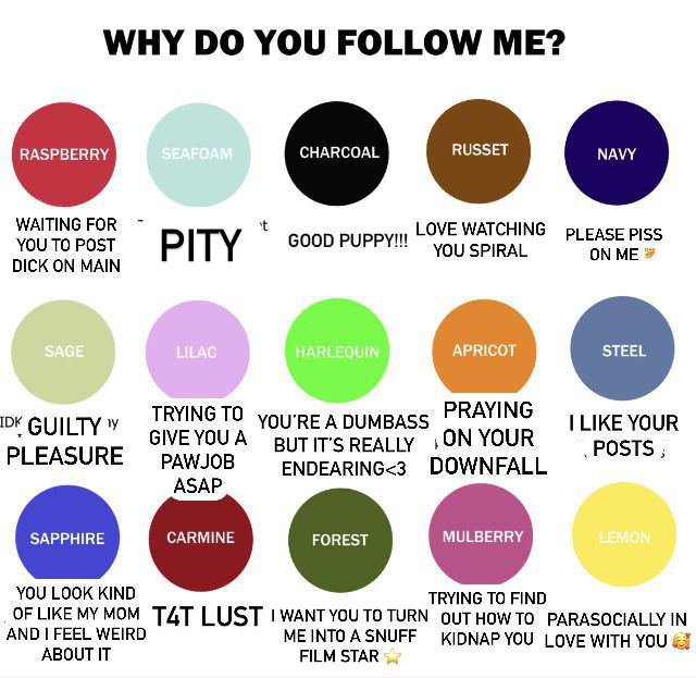 Arion Horsedad - AD (@ahorsedad) on Twitter photo 