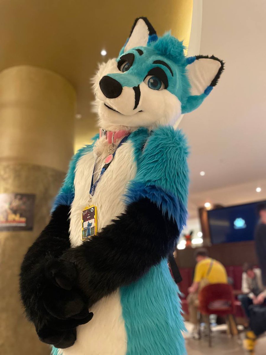 Zephy π Cfz (@blue_zeph) on Twitter photo After nearly a whole week of fox shenanigans and hanging out with some wonderful friends, im still riding the high from #cfz2025 βΊοΈ
Huge thanks to everyone who came up and said hi! Iβm looking forward to meeting even more of you next year π¦π
π· <a href="/FerrixGulo/">FRX π Megaplex</a> After nearly a whole week of fox shenanigans and hanging out with some wonderful friends, im still riding the high from #cfz2025 βΊοΈ
Huge thanks to everyone who came up and said hi! Iβm looking forward to meeting even more of you next year π¦π
π· <a href="/FerrixGulo/">FRX π Megaplex</a>