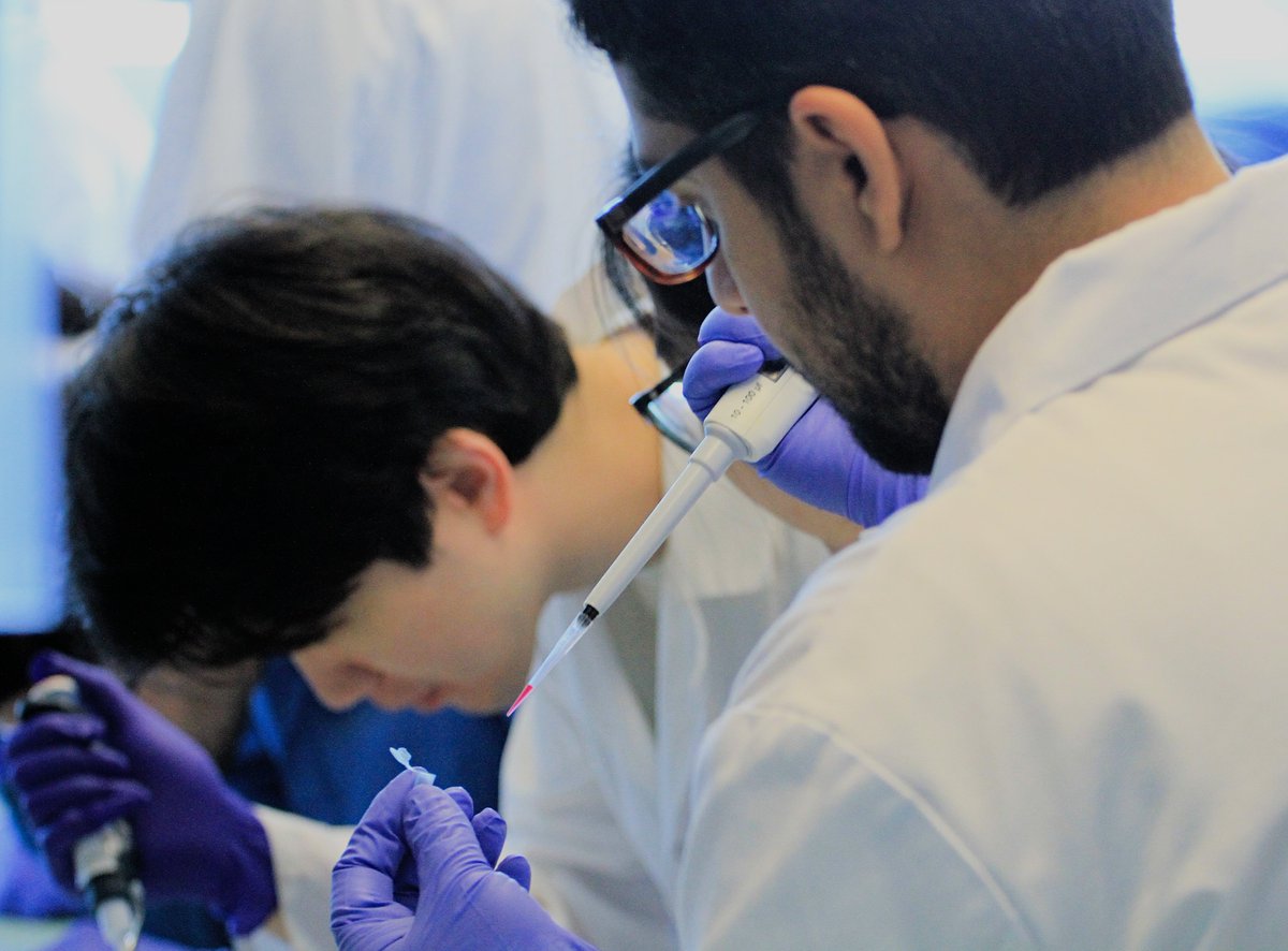 JunckerLab's tweet image. The second day of the workshop invovled additional hands-on sessions, and creativity has been flowing as the teams started working on their design challenge: creating a hydrogel-Integrated Multi-Organ-On-a-Chip!