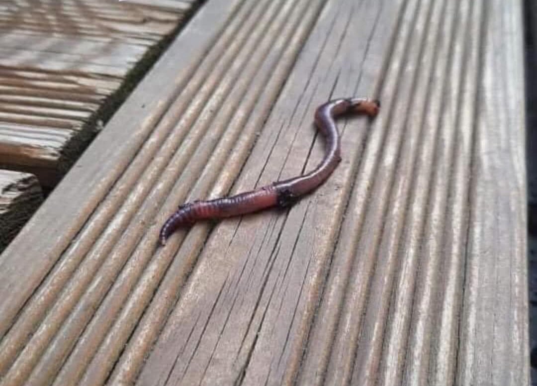 Avec ce beau soleil 
Aujourd'hui premier verre en terrasse.
😝😝😝