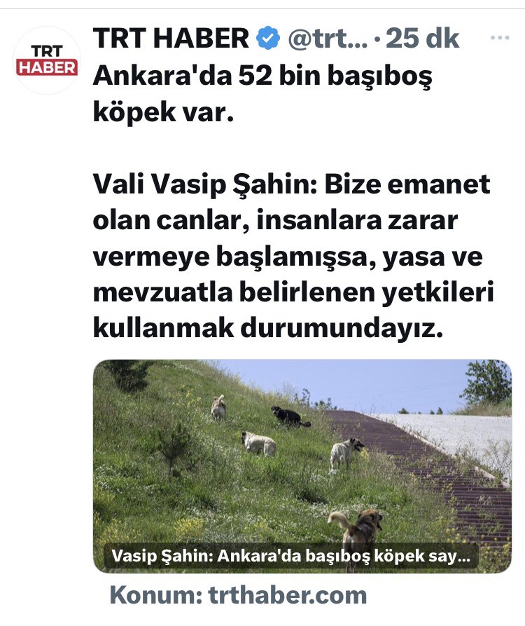 Türkiye’nin Bir Ucundaki 3-5 Olay Yüzünden,
Suçu Günahı Olmayan 52 Bin Canı Katletmeyi İstemek,
Ne İnsanlıktır,
Nede Müslümanlık❗️
15 Yaşında Cinayet İşleyen Bir Katilin Ailesinden,
Nasıl Bir Katil Yetiştirdiniz Diye Hesap Sorun❗️
Nefesine,Sıcaklığına
Muhtaç Olacaksınız🙏