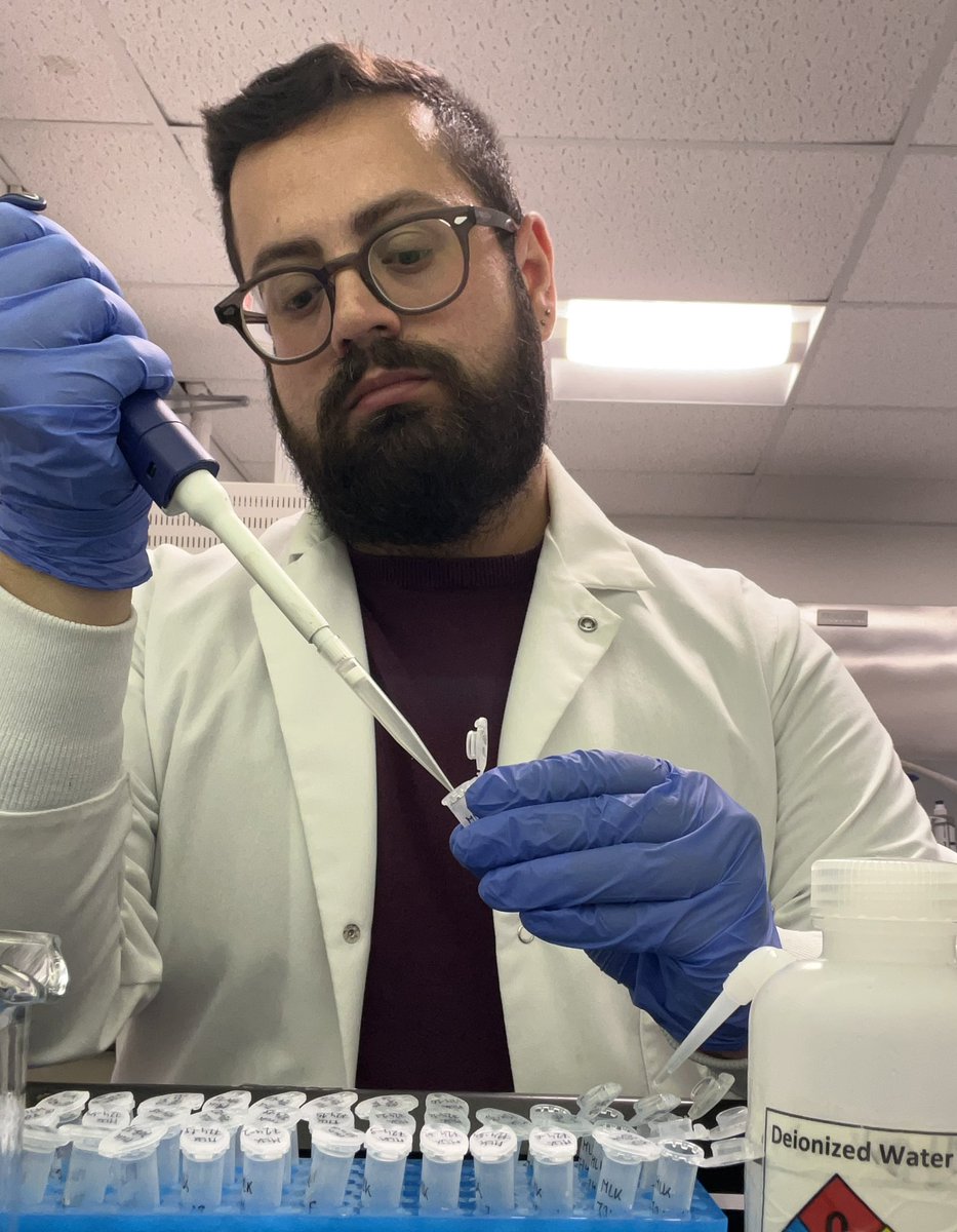 Giutter3's tweet image. Grateful to the @INQUA for supporting further isotopic analysis at Melka Wakena and Gadeb (Ethiopian Highlands) 🌍⛰️🇪🇹Work in progress on the samples preparation at @UConnAnthro… can’t wait for the results!