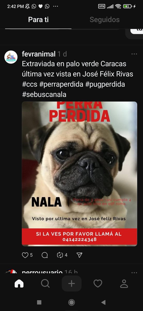 🟣Mary X 🐕🐈 (@mary_jar) on Twitter photo Atención! Se busca a Nala. Pendiente mi gente de #PaloVerde Caracas . Si la ven...se agradece resguardo.
Gracias por difundir. <a href="/PerroUsuario/">PerroUsuario Wof '•'</a> Atención! Se busca a Nala. Pendiente mi gente de #PaloVerde Caracas . Si la ven...se agradece resguardo.
Gracias por difundir. <a href="/PerroUsuario/">PerroUsuario Wof '•'</a>