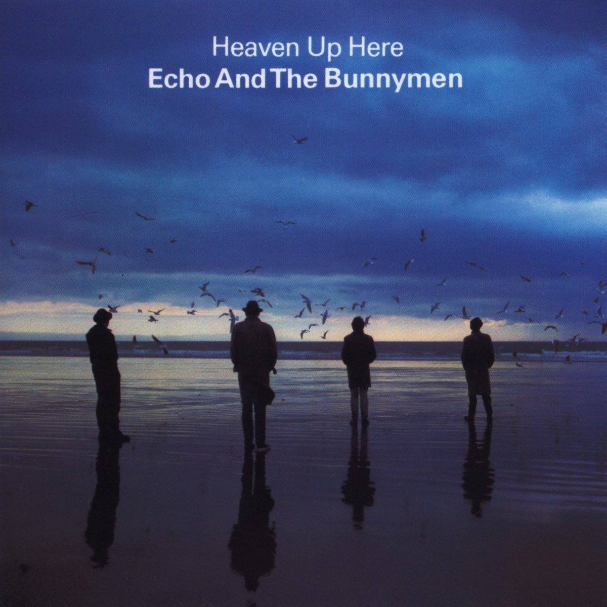 Jay Tennant (@jaytennant_) on Twitter photo Released on this day in 1981, the outstanding ‘Heaven Up Here’ by the mighty <a href="/Bunnymen/">Echo & the Bunnymen</a>
Truly epic album 👏 Released on this day in 1981, the outstanding ‘Heaven Up Here’ by the mighty <a href="/Bunnymen/">Echo & the Bunnymen</a>
Truly epic album 👏