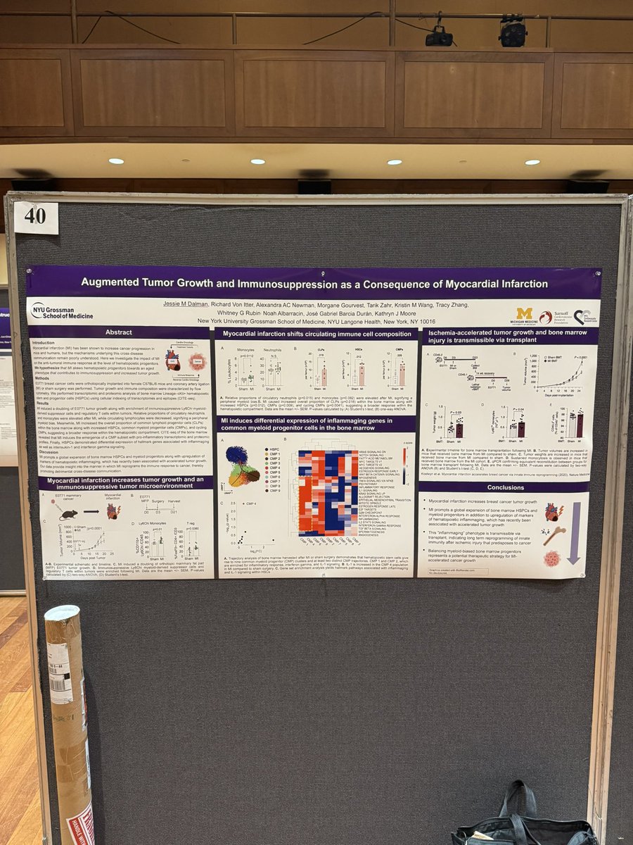 Jessie M. Dalman (@jessiemdalman) on Twitter photo Ready to rumble <a href="/nyulangone/">NYU Langone Health</a> <a href="/nyugrossman/">NYU Grossman School of Medicine</a> #DayofMedicine2025 ! 💜🧪🫀⚡️ Ready to rumble <a href="/nyulangone/">NYU Langone Health</a> <a href="/nyugrossman/">NYU Grossman School of Medicine</a> #DayofMedicine2025 ! 💜🧪🫀⚡️