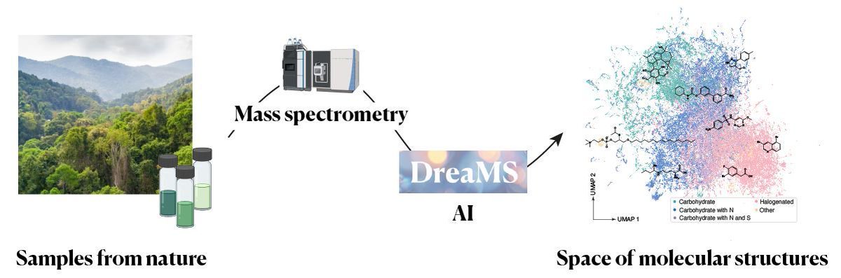 NVIDIA AI (@nvidiaai) on Twitter photo Nature is full of chemicals that have yet to be discovered. 🔬
Researchers from <a href="/IOCBPrague/">IOCB Prague</a> and <a href="/CIIRCCTU/">CIIRC ČVUT</a> have developed a machine learning model called DreaMS, which significantly accelerates the analysis of previously unknown molecules. 🧬
Describing them could pave the way Nature is full of chemicals that have yet to be discovered. 🔬
Researchers from <a href="/IOCBPrague/">IOCB Prague</a> and <a href="/CIIRCCTU/">CIIRC ČVUT</a> have developed a machine learning model called DreaMS, which significantly accelerates the analysis of previously unknown molecules. 🧬
Describing them could pave the way