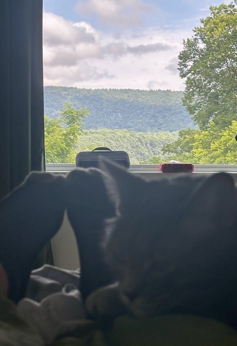 ImTasuh's tweet image. Almost done moving. I now have an amazing view right from my bed!