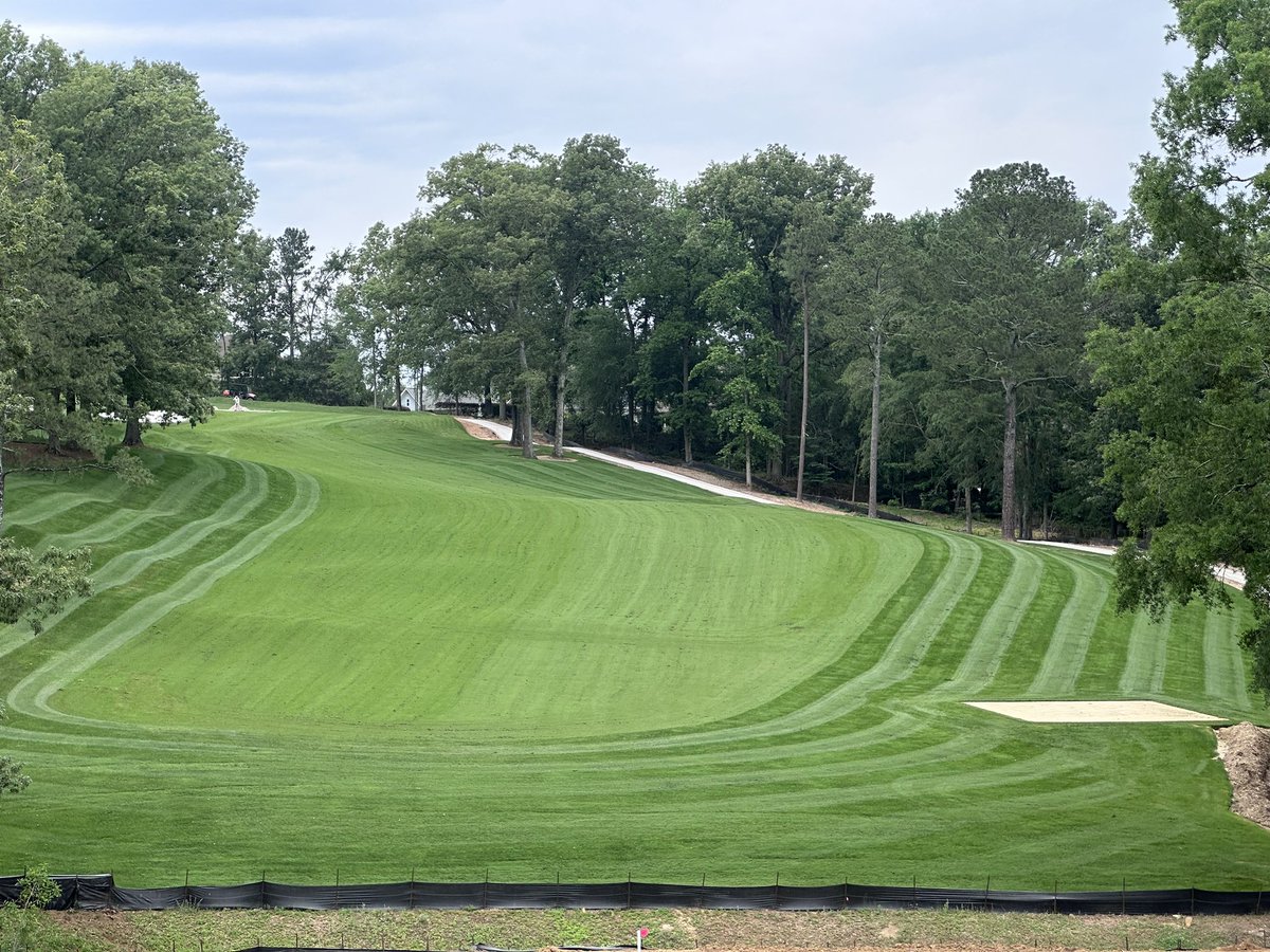 Turfbombero's tweet photo. Been too busy to mess with X very much lately, lots happening on and off course. Here’s to more frequent posts! Almost over the half way point with grassing. Tis a season of growth, personally, professionally, and as a team.  Better every day! https://t.co/8VsOUw5gcH