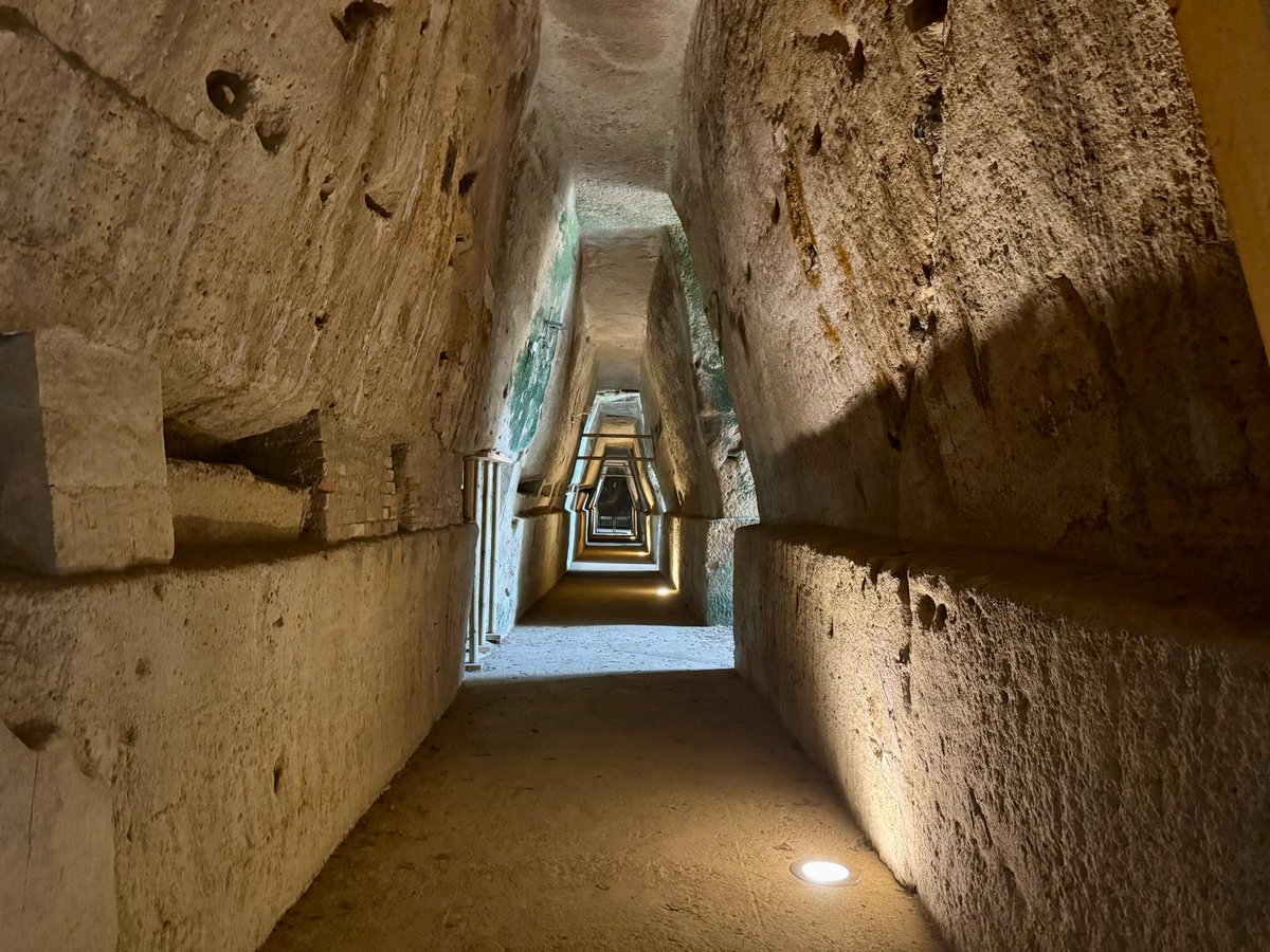 Martin Briens tweet media