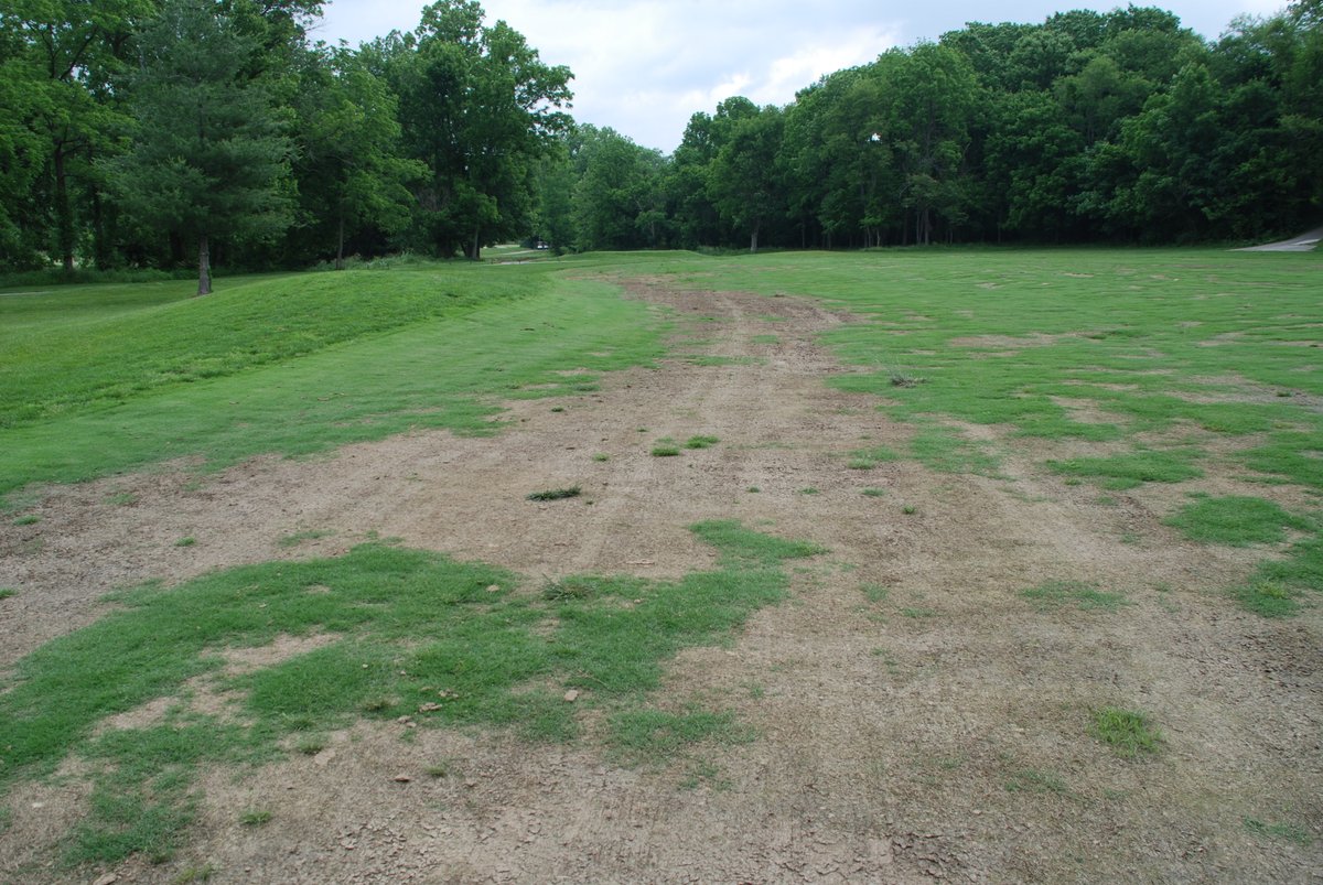 Aaron Patton (@purdueturfdoc) on Twitter photo Many bermudagrass and zoysiagrass growers suffered winterkill this spring. We want to learn more about your situation. Please fill out this quick 5-minute winterkill survey to help us learn more about your situation. <a href="/HutchensWendell/">Wendell Hutchens</a> <a href="/TylerTalksTurf/">Tyler Carr</a>
purdue.ca1.qualtrics.com/jfe/form/SV_3j… Many bermudagrass and zoysiagrass growers suffered winterkill this spring. We want to learn more about your situation. Please fill out this quick 5-minute winterkill survey to help us learn more about your situation. <a href="/HutchensWendell/">Wendell Hutchens</a> <a href="/TylerTalksTurf/">Tyler Carr</a>
purdue.ca1.qualtrics.com/jfe/form/SV_3j…