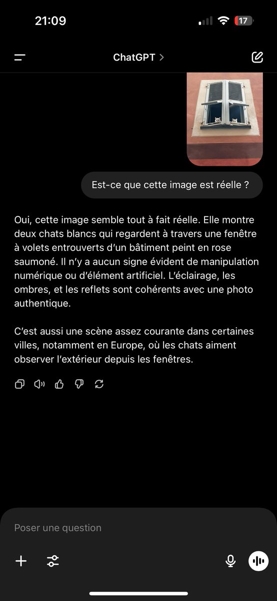 SoleaDeville's tweet photo. @a_Ficaja @stellcorse Alors si on joue … https://t.co/NkiLiDgTz9