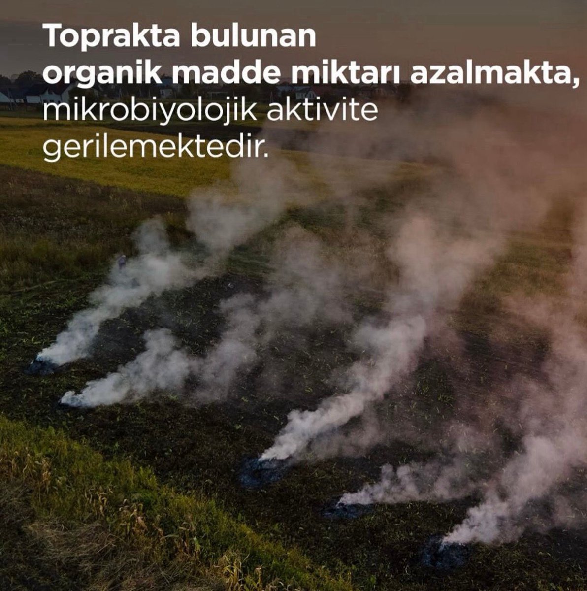 Doğanın dengesini bozma
Dünya alt üst olmasin.
#Anızyakma
#MardinYeşilikoru
 #AtesiDegilBilinciYay
 <a href="/tcmeb/">Millî Eğitim Bakanlığı</a>
<a href="/Yusuf__Tekin/">Yusuf Tekin</a>
 <a href="/Mardin_Valiligi/">Mardin Valiliği</a> 
<a href="/tuncay_akkoyun/">Tuncay Akkoyun</a>
<a href="/mardinilmem/">Mardin İl Millî Eğitim Müdürlüğü</a> 
<a href="/ali_eyyupkoca/">Ali Eyyupkoca</a> 
<a href="/artukluilcemem/">Artuklu İlçe Milli Eğitim Müdürlüğü</a> 
<a href="/mehmeteminduya1/">Mehmet Emin DUYAN</a>