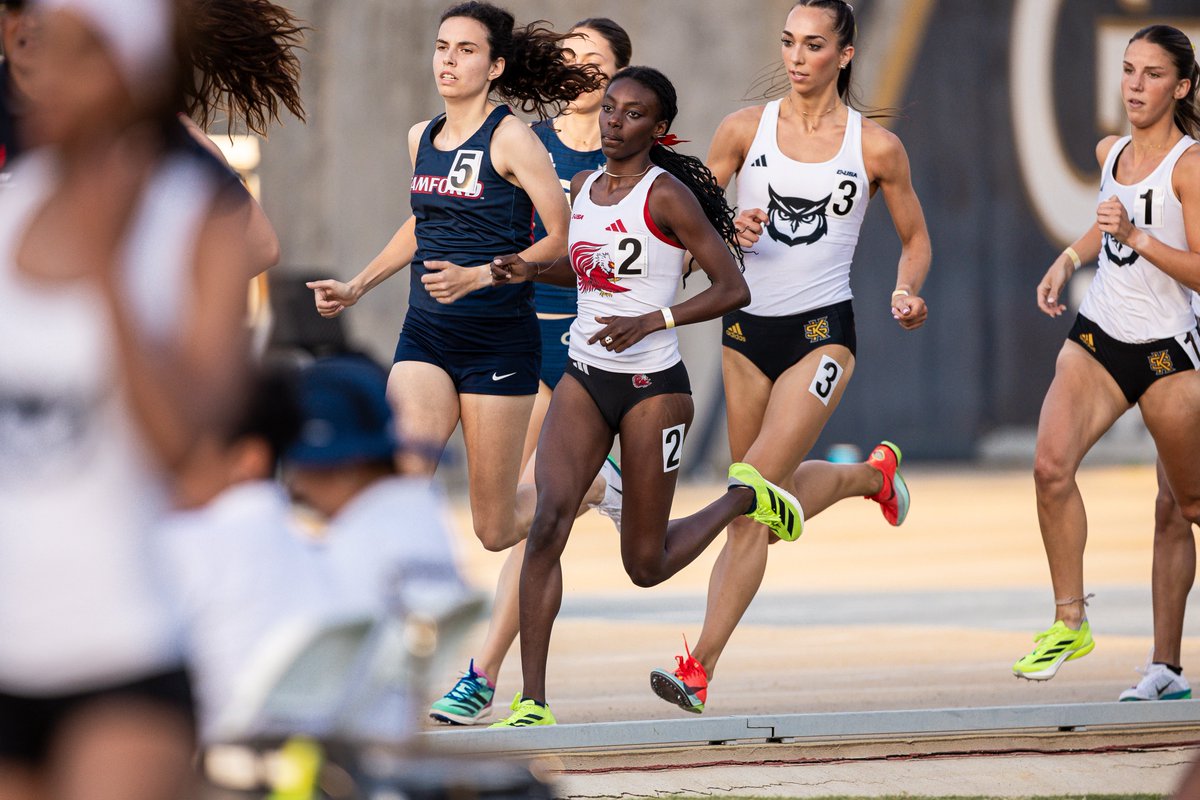 JaxStateXCTF's tweet image. Beti Takes home eighth in her 1500m heat with a time of 4:21.58, just three seconds shy of the program record and her personal best 🔥
Catch Hailey Tucker in the 400m hurdles at 3:50 PM on ESPN+ 📺
#StayCocky 🐔 | #FearTheBeak 👌
