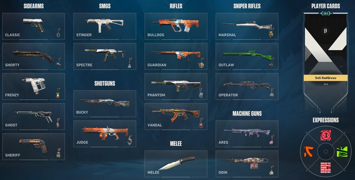 It's now nearly 5 years i'm into <a href="/VALORANT/">VALORANT</a> here a small collection of skins, buddies, sprays, player card and titles :)