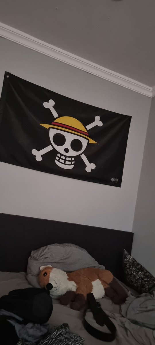 ffuchs52's tweet photo. @OnePieceIsGeil Was sind deine 10 besten Sachen von one piece? Bei mir könnte es auch mehr sein aber dafür fehlt der Platz aber über meinen Bett hängt ne Flagge. Vielleicht weckt das eine oder andere mein Interesse. https://t.co/OYxmkzv9px