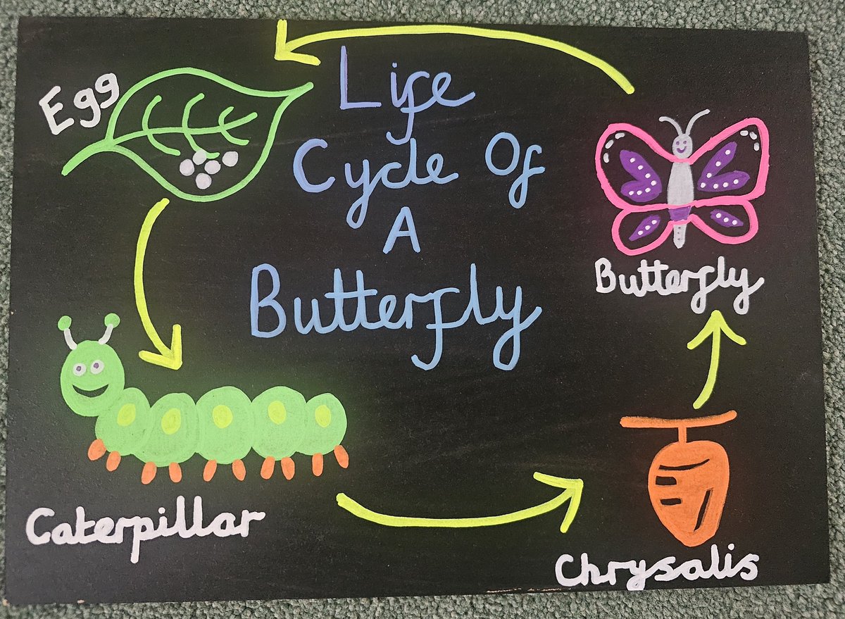 MissCooperPboro2 tweet media