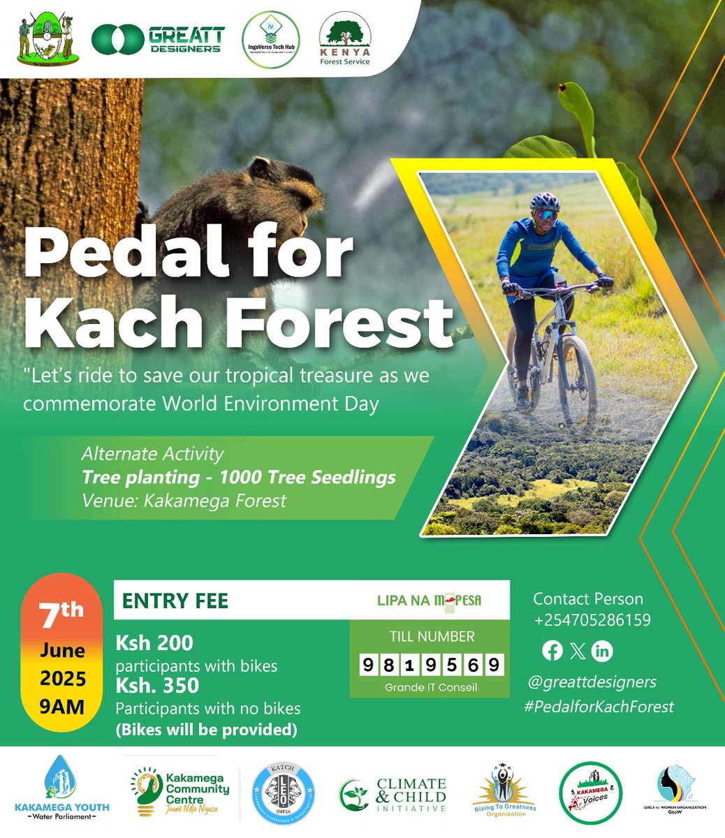 Get ready for an extraordinary experience on the 7th! Join us for a thrilling bicycle ride and a powerful tree-planting initiative as we champion environmental conservation in the magnificent Kakamega Forest. Let’s pedal with purpose and plant for the planet
<a href="/IngoverseTech/">Ingoverse Tech Hub</a>