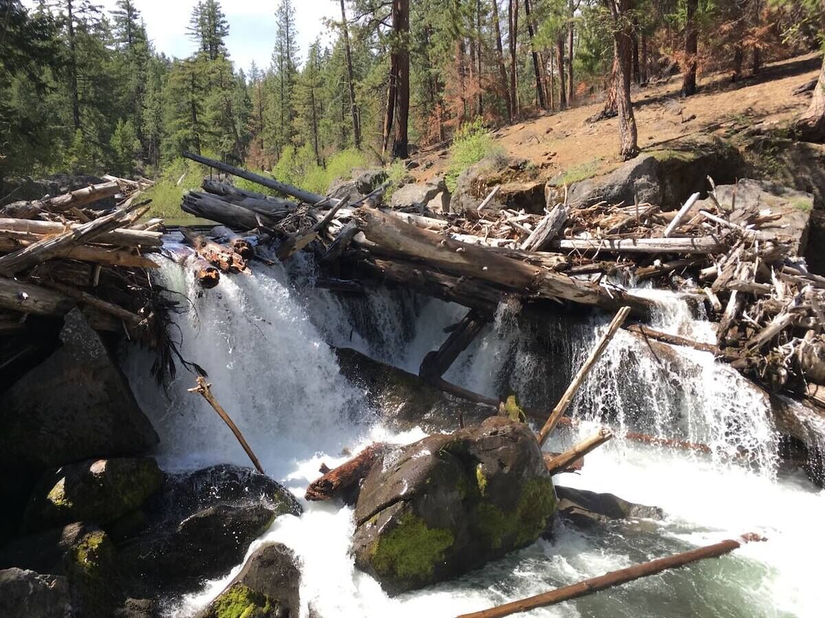 "Renaming offensive locations in Oregon reflects our shared commitment to mutual respect, historical truth, and creating a welcoming environment for all Oregonians. My hope is that no one has to drive in Oregon and feel like they don't belong there." nuggetnews.com/story/2025/05/…