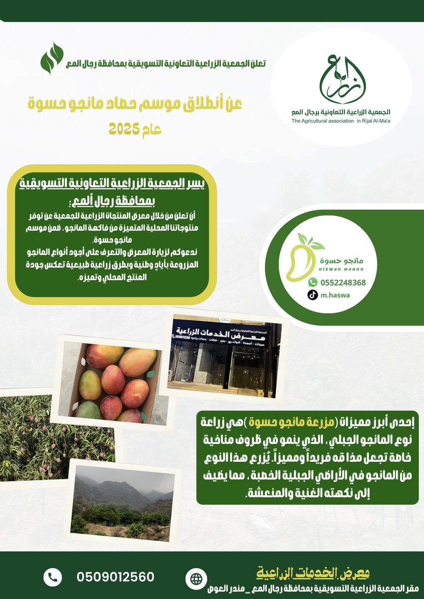caara_sa's tweet photo. 🔺تعلن الجمعية التعاونية الزراعية التسويقية بمحافظة رجال المع وانطلاقاً من سعيها لتحقيق أهدافها لدعم وتسويق منتجات المزارعين عن تسويق منتج المانجو مانجو حسوه لمزرعة المزارع عبدالله سعد الزالفي بمعرض المنتجات الزراعية بمقر الجمعية الزراعية التعاونية التسويقية بمحافظة رجال المع. https://t.co/PunotWu7VO
