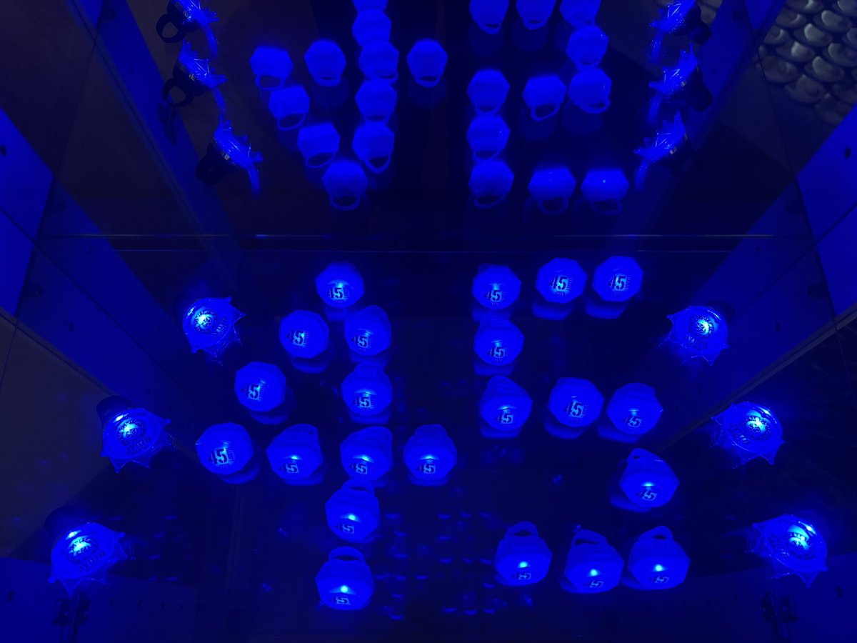 みーちゃん tweet media