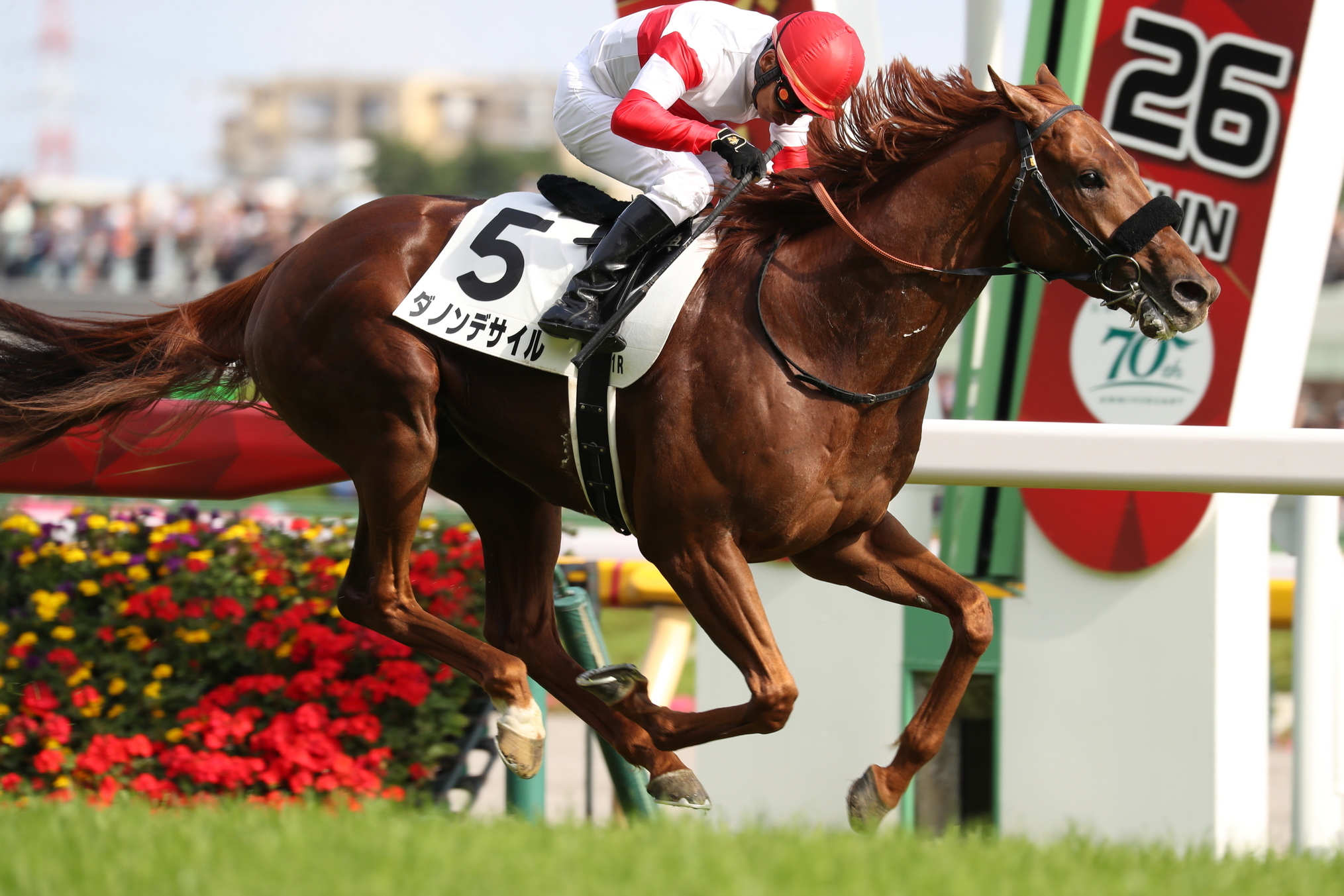 JRA-VAN公式 on X: 
