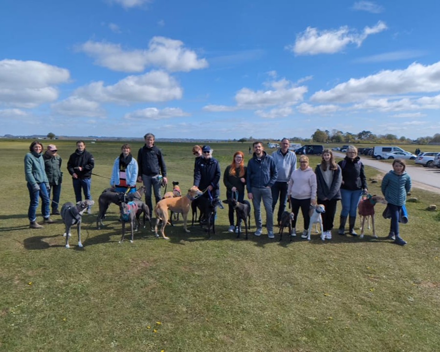 This Sunday (1st), we are holding another of our ever popular sighthound social walks on #MinchinhamptonCommon in #Stroud.

Please do come along and join us for a lovely stroll with like-minded people and their gorgeous hounds. 🙂🐾

More details here: foreverhoundstrust.org/events/