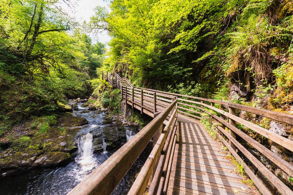 Questo porta il "fare una passeggiata nel bosco" a un altro livello. Queste passerelle di legno, che si snodano attraverso il Glenariff Forest Park, sono state costruite circa 100 anni fa.
📍 Glenariff Forest Park, Contea di Antrim