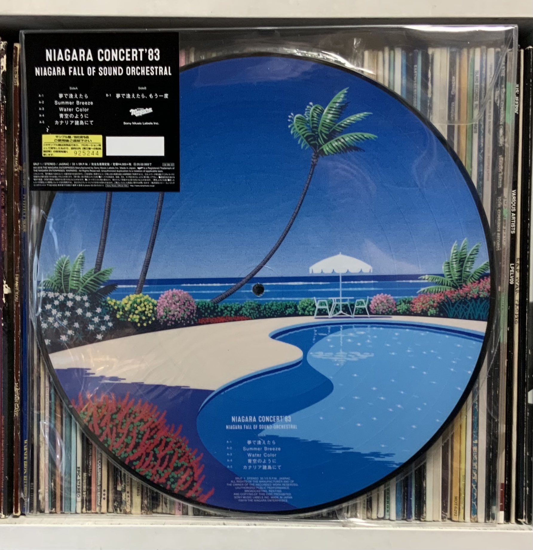 永井博 Picture record NIAGARA CONCERT'83 大滝詠一 レコード NIAGARA