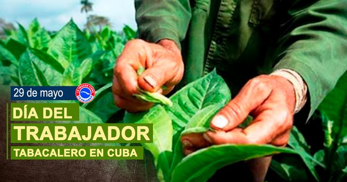 JCSantaClara7 (@jcsantaclara7) on Twitter photo 