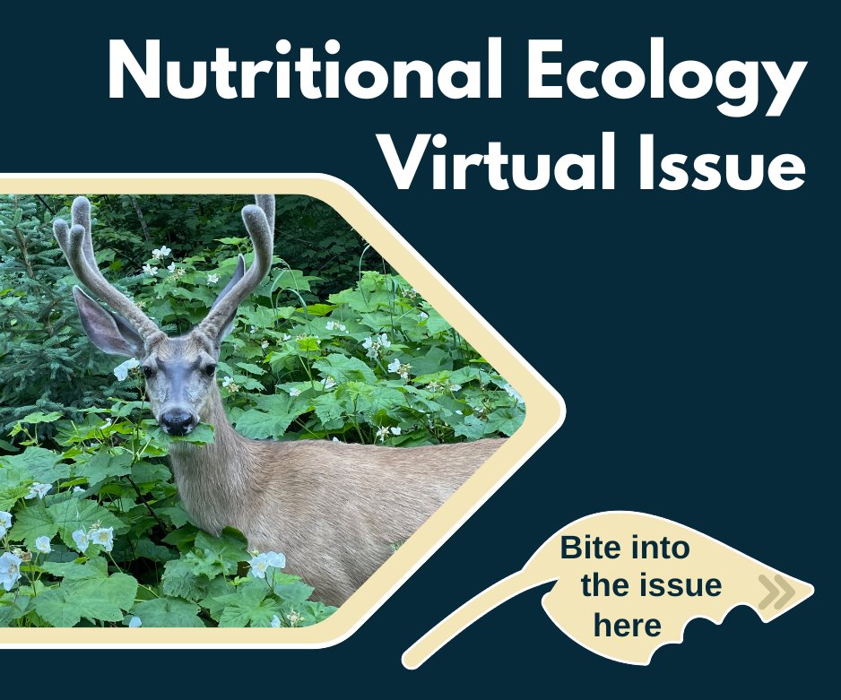 Ecological Society (@esa_org) on Twitter photo 🌿Interested in nutritional ecology?🍴 A new virtual issue organized by TWS's Nutritional Ecology Working Group <a href="/NEWG_TWS/">Nutritional Ecology Working Group (NEWG)</a> features articles from a variety of journals ... including Ecology and Ecological Monographs!
Find the virtual issue here: wildlife.onlinelibrary.wiley.com/doi/toc/10.100… 🌿Interested in nutritional ecology?🍴 A new virtual issue organized by TWS's Nutritional Ecology Working Group <a href="/NEWG_TWS/">Nutritional Ecology Working Group (NEWG)</a> features articles from a variety of journals ... including Ecology and Ecological Monographs!
Find the virtual issue here: wildlife.onlinelibrary.wiley.com/doi/toc/10.100…