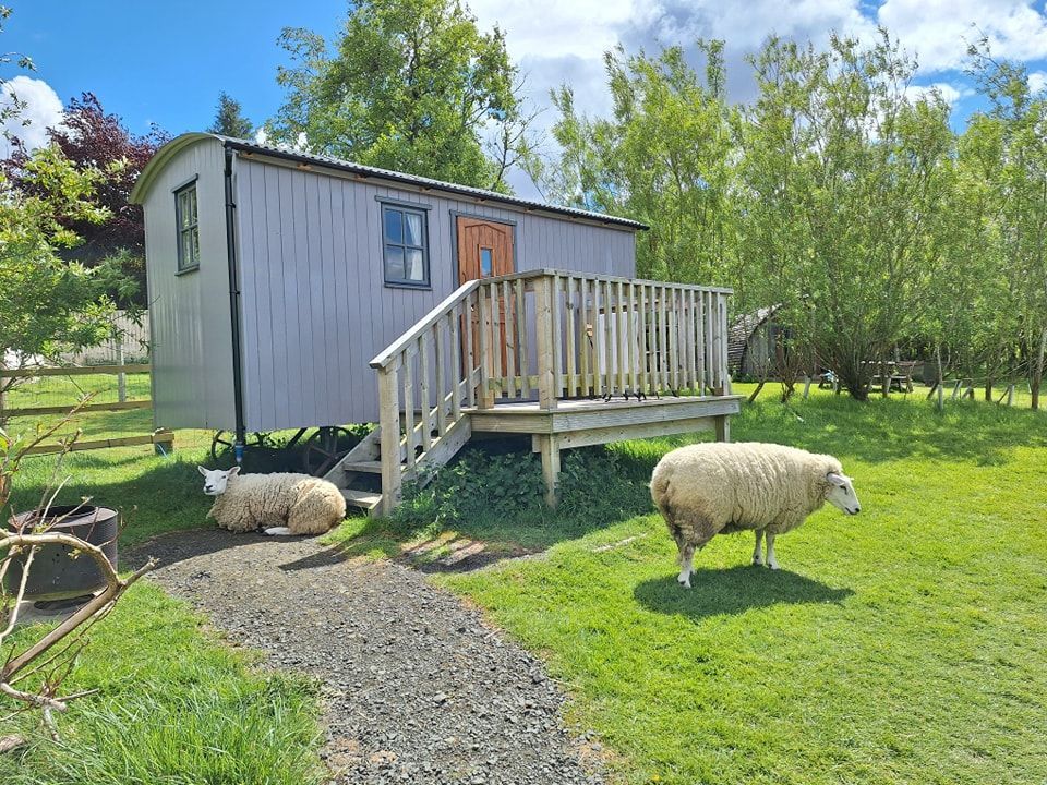 🏕️✨ Right now, guests can enjoy a FLASH DISCOUNT at Glenshee Glamping! Stay before 13th June 2025 and get:

👉 50% OFF all Glamping Pods
👉 25% OFF all Huts, Cabins &amp; The Bell Tent
👉 25% OFF all Hot Tub bookings

camping-directory.uk/2874

#Glamping #FlashOffer #Scotland