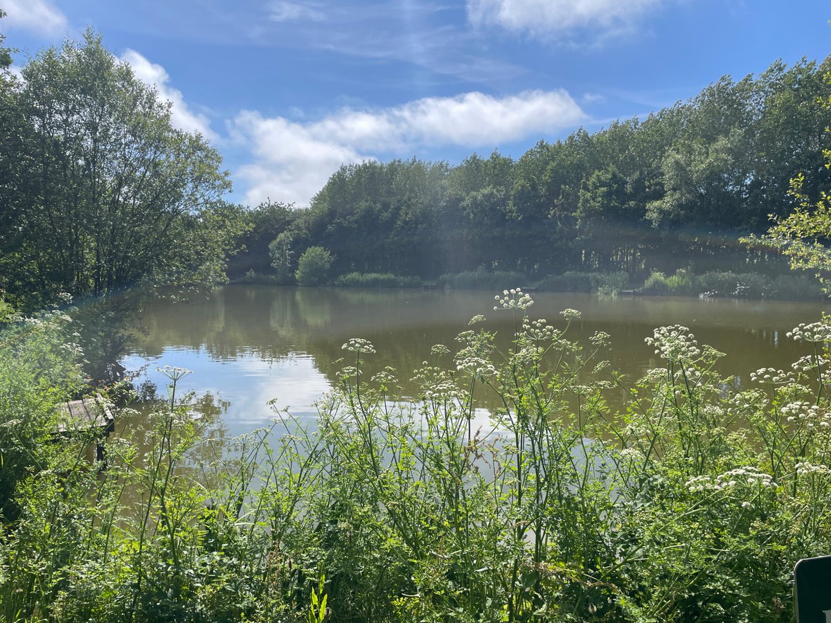 DCFishEA's tweet image. Unfortunately not everyone fishing had a rod licence today.
If you are planning on going fishing please make sure you have the correct licence and permission from the site owner.
gov.uk/fishing-licenc…