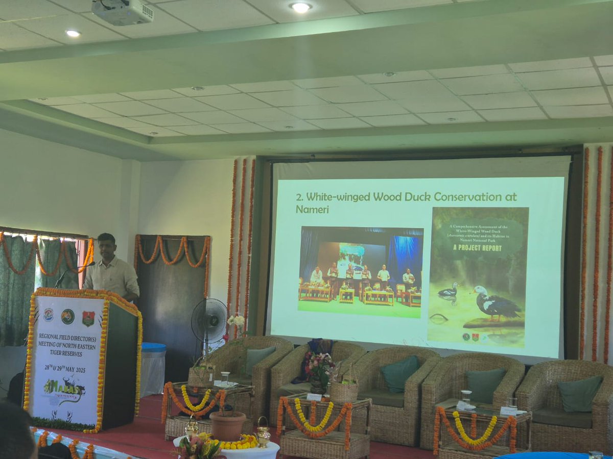 National Tiger Conservation Authority tweet media