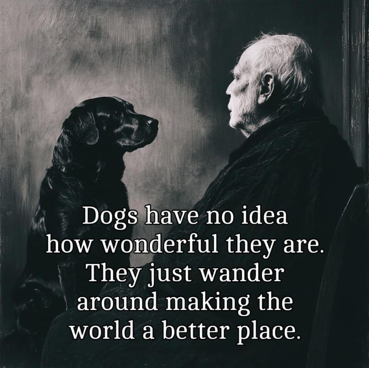 Dog Lovers (@doglovers03) on Twitter photo 